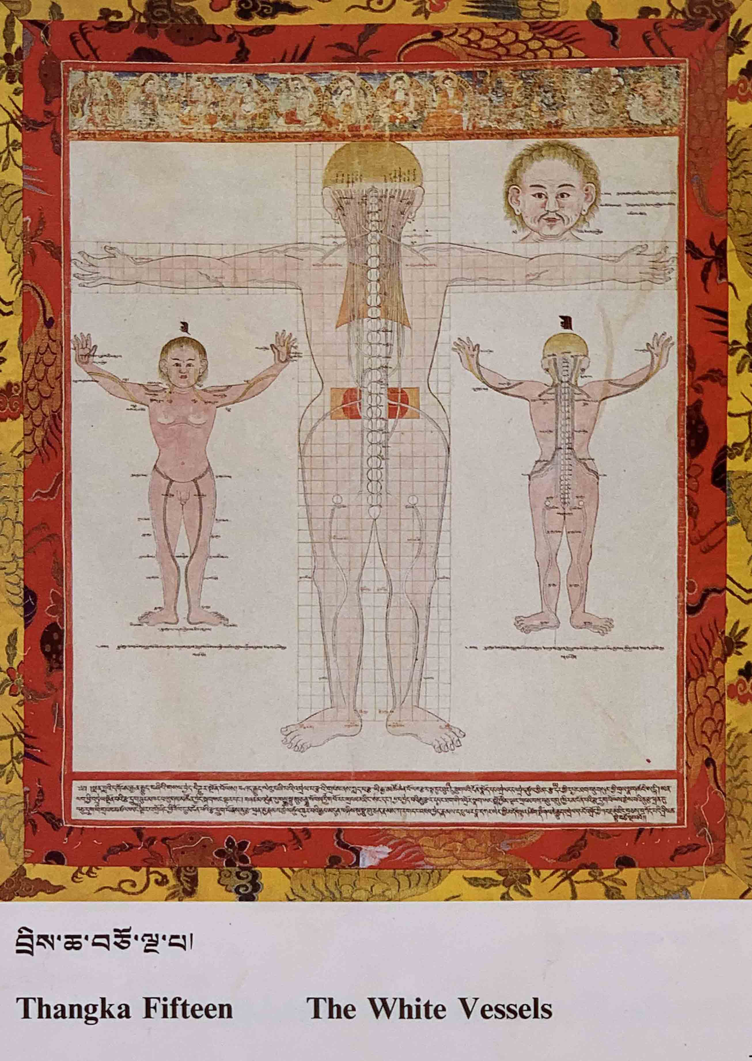 八十一醫典唐卡1-15